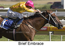 Brief Embrace (14593 bytes)