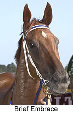 Brief Embrace (10975 bytes)