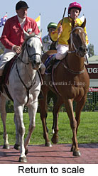 Return to scale (15632 bytes)