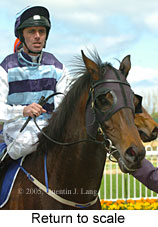 Return to scale (17972 bytes)