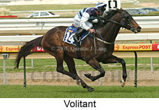 Volitant (16519 bytes)