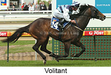 Volitant (16519 bytes)