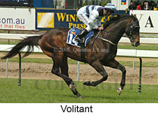 Volitant (16519 bytes)