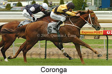 Coronga (16519 bytes)