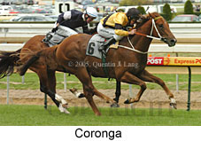 Coronga (16519 bytes)