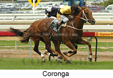 Coronga (16519 bytes)