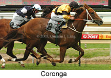 Coronga (16519 bytes)