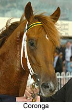 Coronga (16519 bytes)