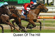 Queen Of The Hill (16519 bytes)