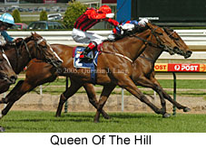 Queen Of The Hill (16519 bytes)