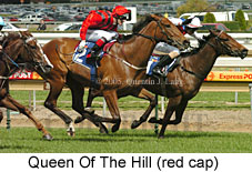 Queen Of The Hill (16519 bytes)