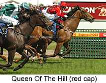 Queen Of The Hill (16519 bytes)