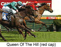 Queen Of The Hill (16519 bytes)