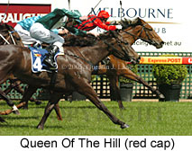 Queen Of The Hill (16519 bytes)