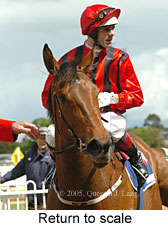 Return to scale (17972 bytes)