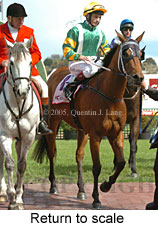 Return to scale (17972 bytes)