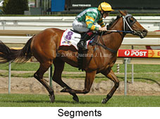 Segments (16519 bytes)