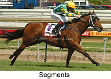 Segments (16519 bytes)