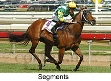 Segments (16519 bytes)