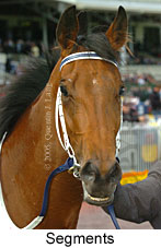 Segments (16519 bytes)