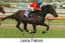 Leica Falcon (16519 bytes)