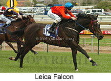 Leica Falcon (16519 bytes)