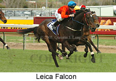 Leica Falcon (16519 bytes)