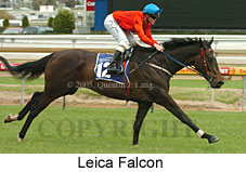 Leica Falcon (16519 bytes)