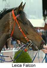 Leica Falcon (16519 bytes)