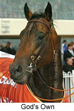 God's Own (16519 bytes)
