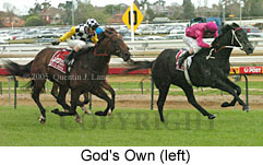 God's Own (16519 bytes)