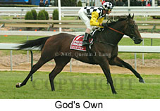 God's Own (16519 bytes)