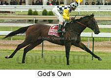 God's Own (16519 bytes)