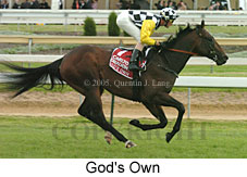 God's Own (16519 bytes)