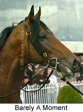 Barely A Moment (16519 bytes)