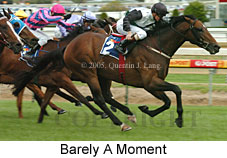 Barely A Moment (16519 bytes)