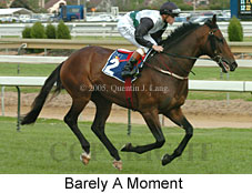 Barely A Moment (16519 bytes)