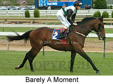 Barely A Moment (16519 bytes)
