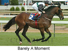 Barely A Moment (16519 bytes)