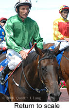 Return to scale (15361 bytes)