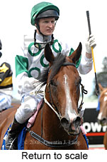 Return to scale (15361 bytes)