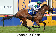 Vivaciuos Spirit (14872 bytes)