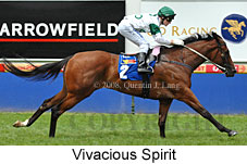 Vivaciuos Spirit (14872 bytes)