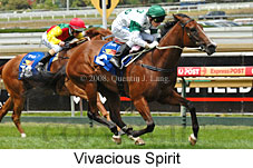 Vivaciuos Spirit (14872 bytes)