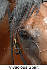 Vivaciuos Spirit (14872 bytes)