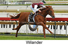 Wilander (14872 bytes)