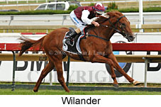Wilander (14872 bytes)