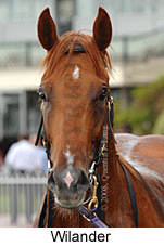 Wilander (14872 bytes)