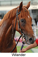 Wilander (14872 bytes)