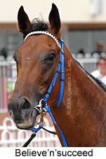 Believe'n'succeed (14872 bytes)